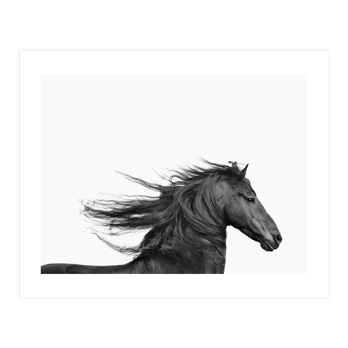 Dark Horse (Print Only)