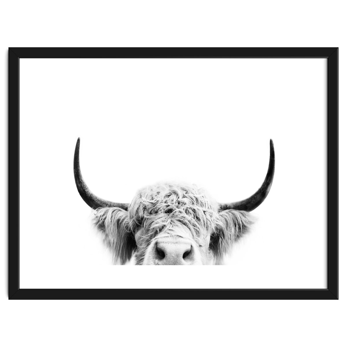 Peeking cow BW