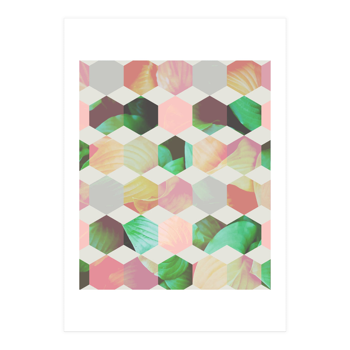 Epsilon (Print Only)