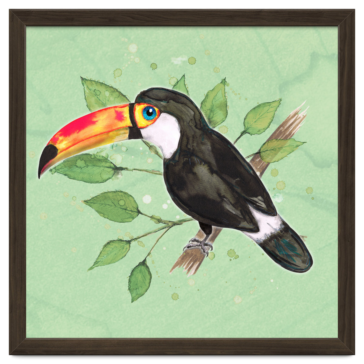 Toco toucan