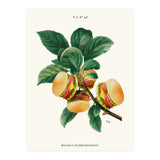Burger Plant (Print Only) thumbnail