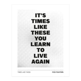 Foo Fighters - Times Like These (Print Only) thumbnail