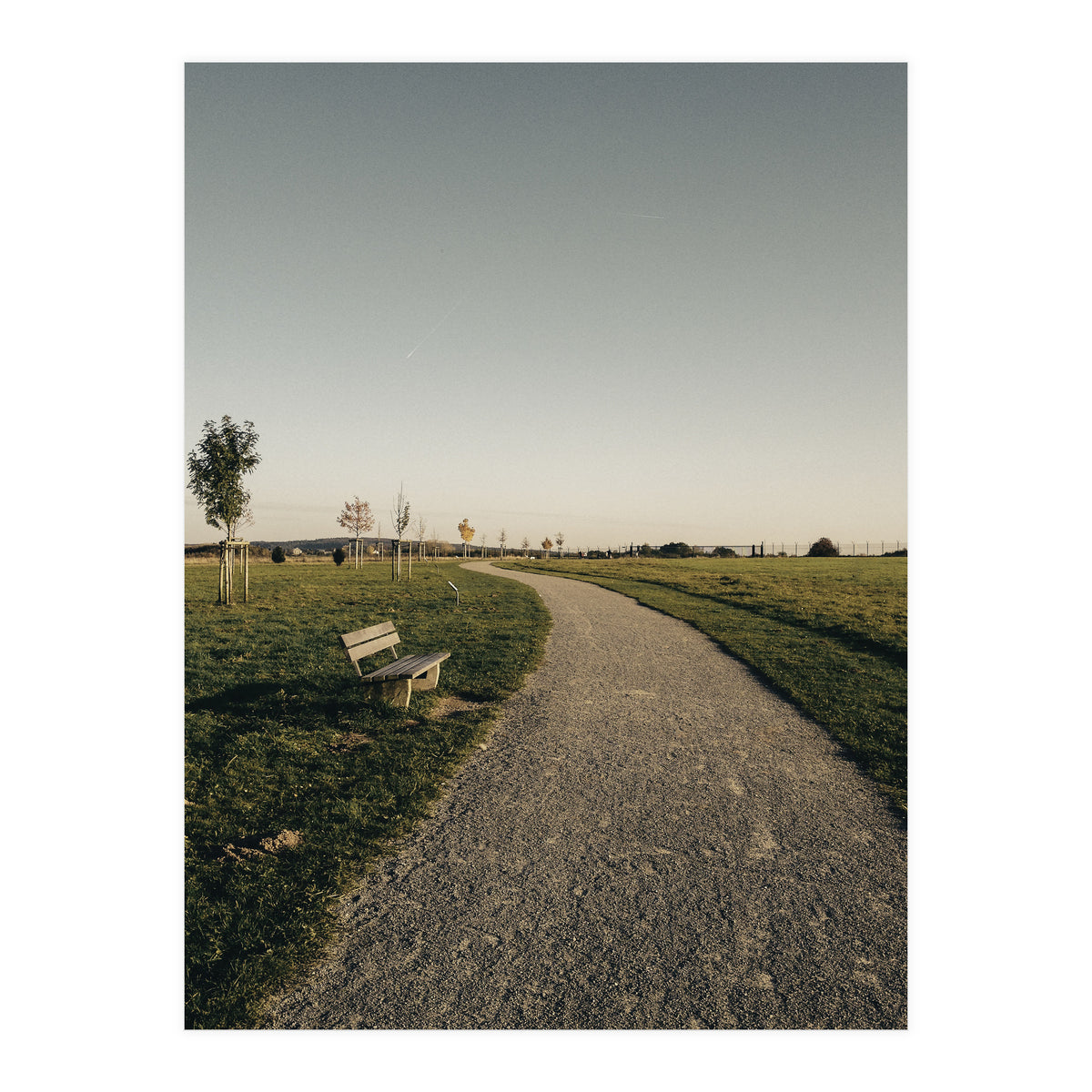 Bucolism 7 (Print Only)