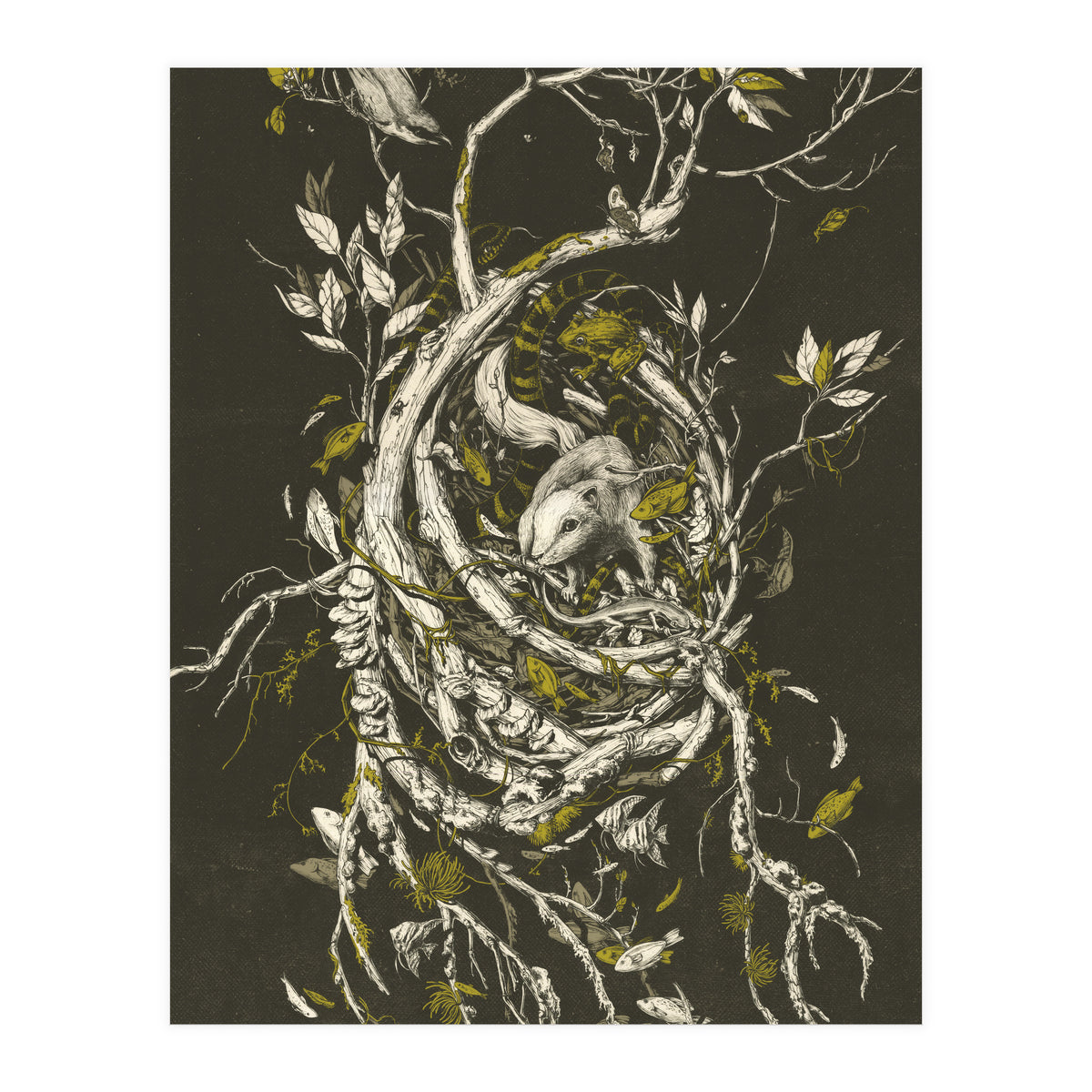 The Mangrove Tree (Print Only)