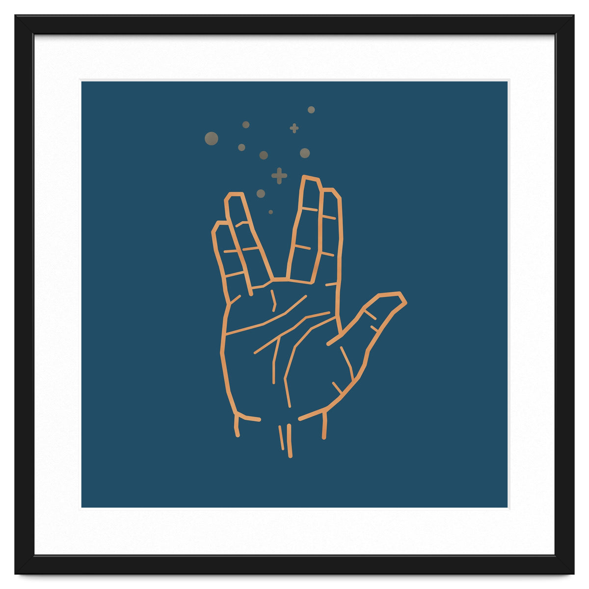 Vulcan Salute