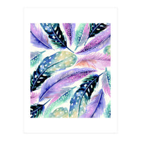 Wild Feathers (Print Only)