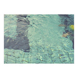 Pool Swimming (Print Only) thumbnail