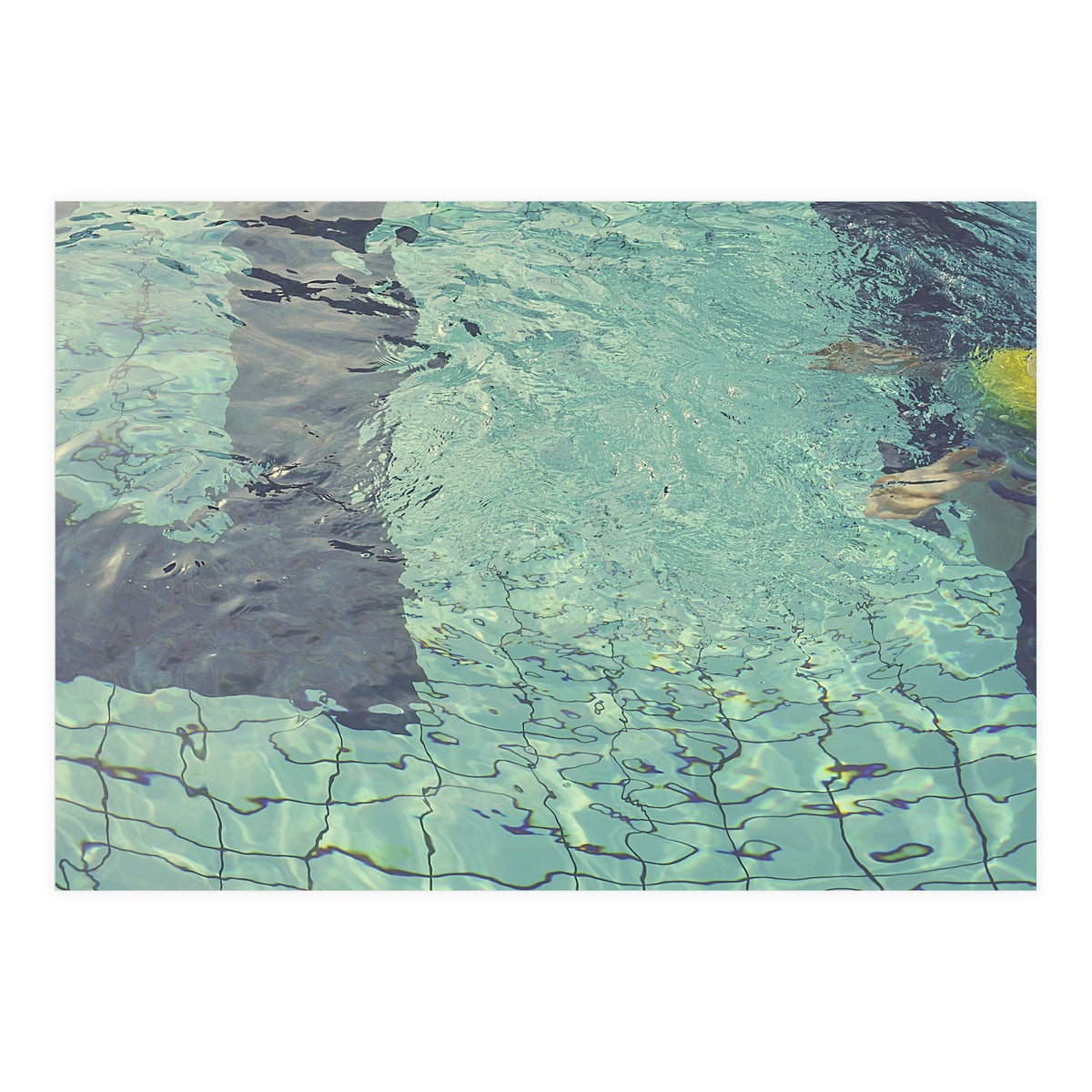 Pool Swimming (Print Only)