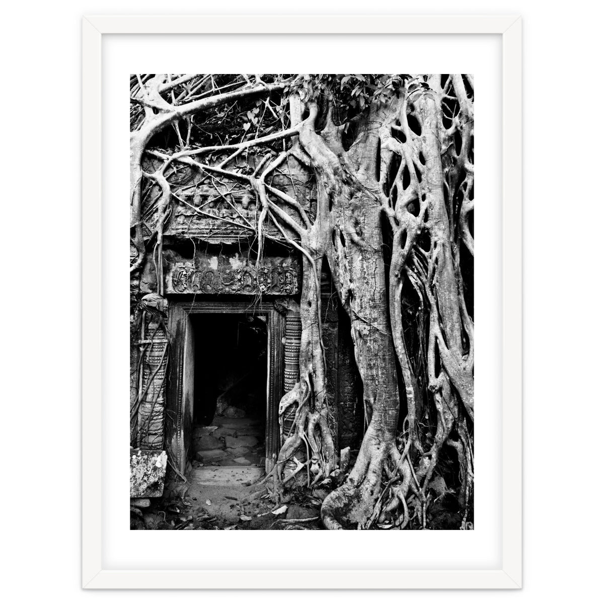Ta Prohm Temple, Cambodia