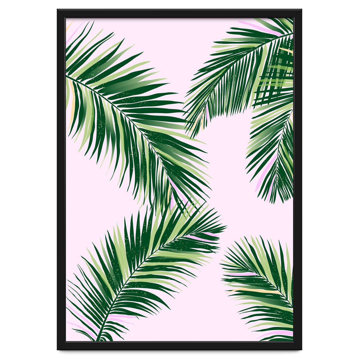 Palmfrond