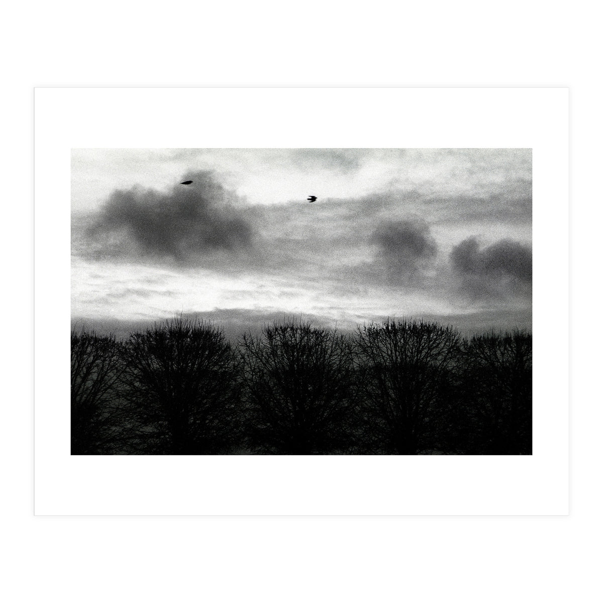 Winter mornig in Paris (Print Only)