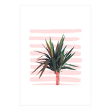 Dreamer (Print Only) thumbnail