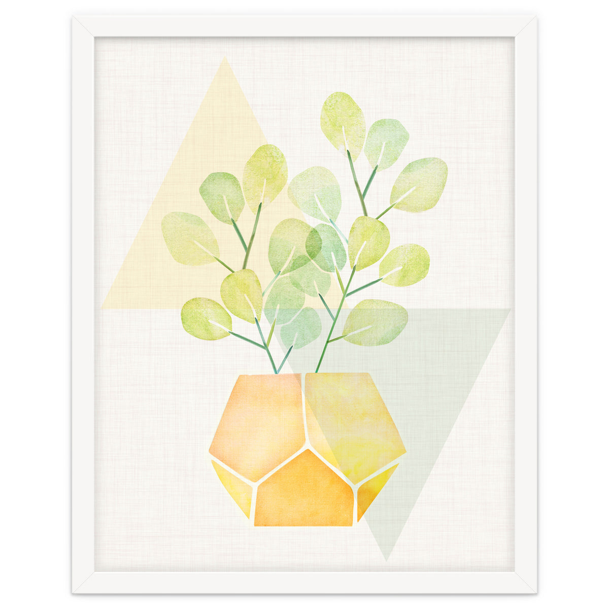 Geometry and House Plant