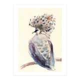 Crowned Pigeon (Print Only) thumbnail