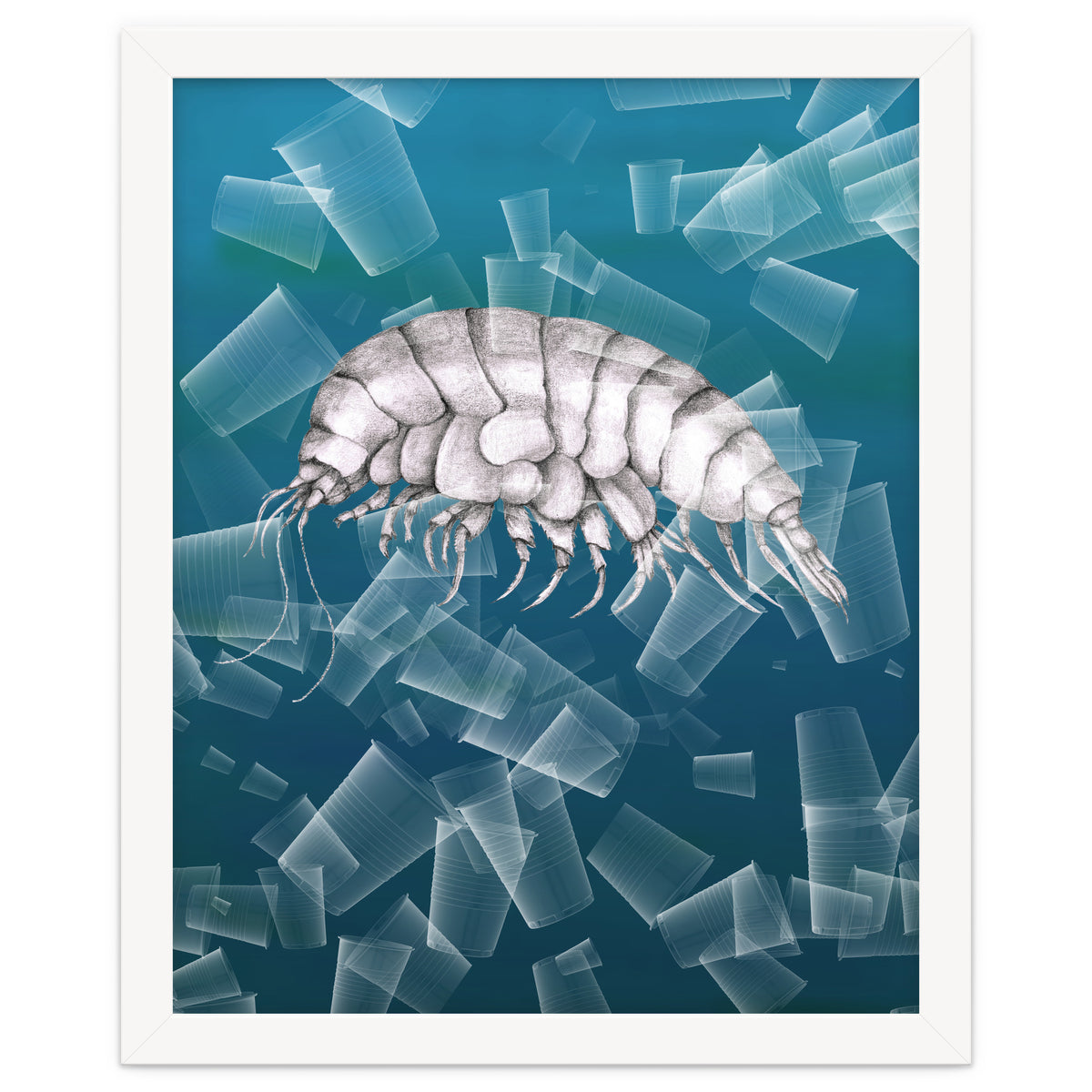 Eurythenes Plasticus