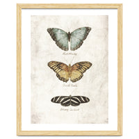 Butterflies II