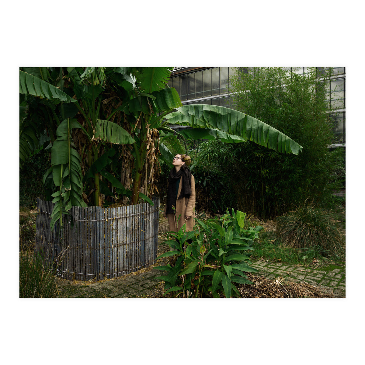 Transition from Summer to Winter (Print Only)