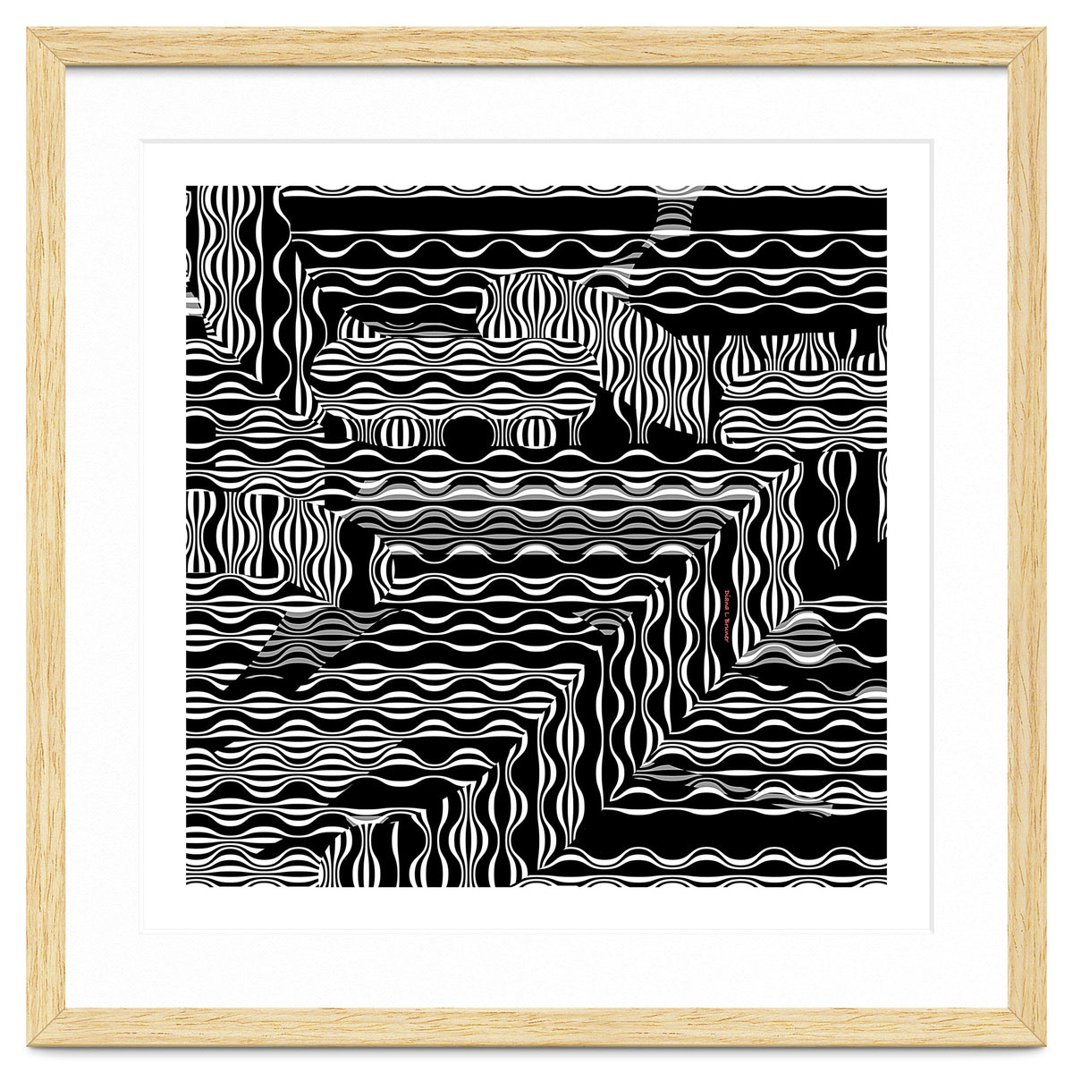 BLACK AND WHITE EXOTIC