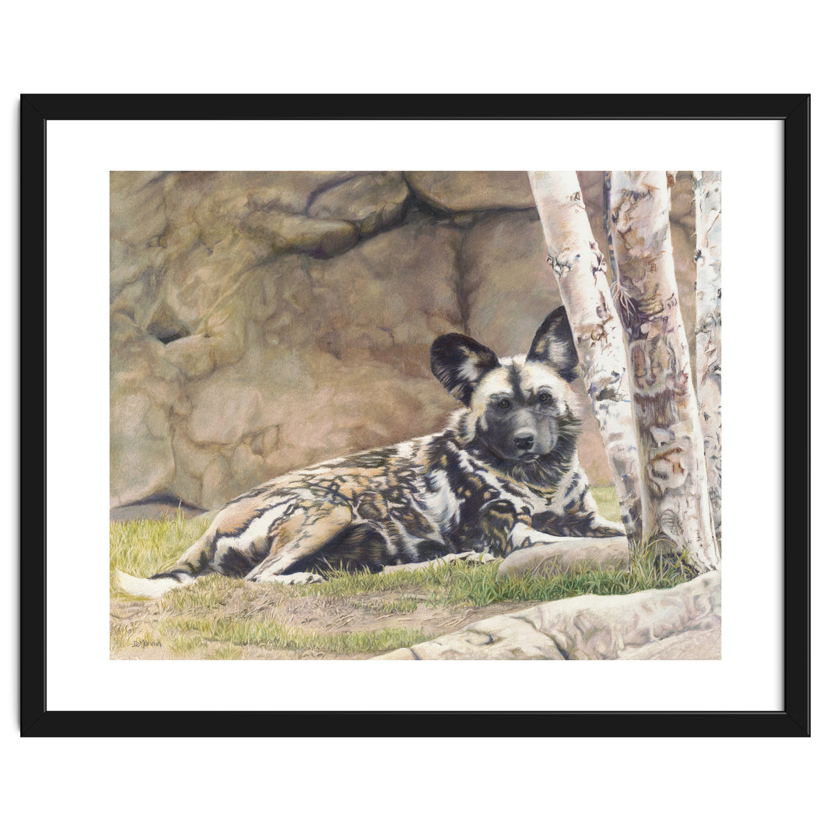 Afican Painted Dog IV - Imara