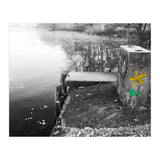 Frozen Ground Yellow Flower Street Art (Print Only) thumbnail