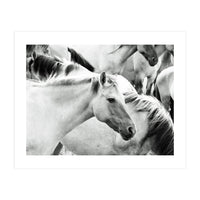 Horses (Print Only)