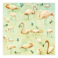 Flamingos (Print Only)