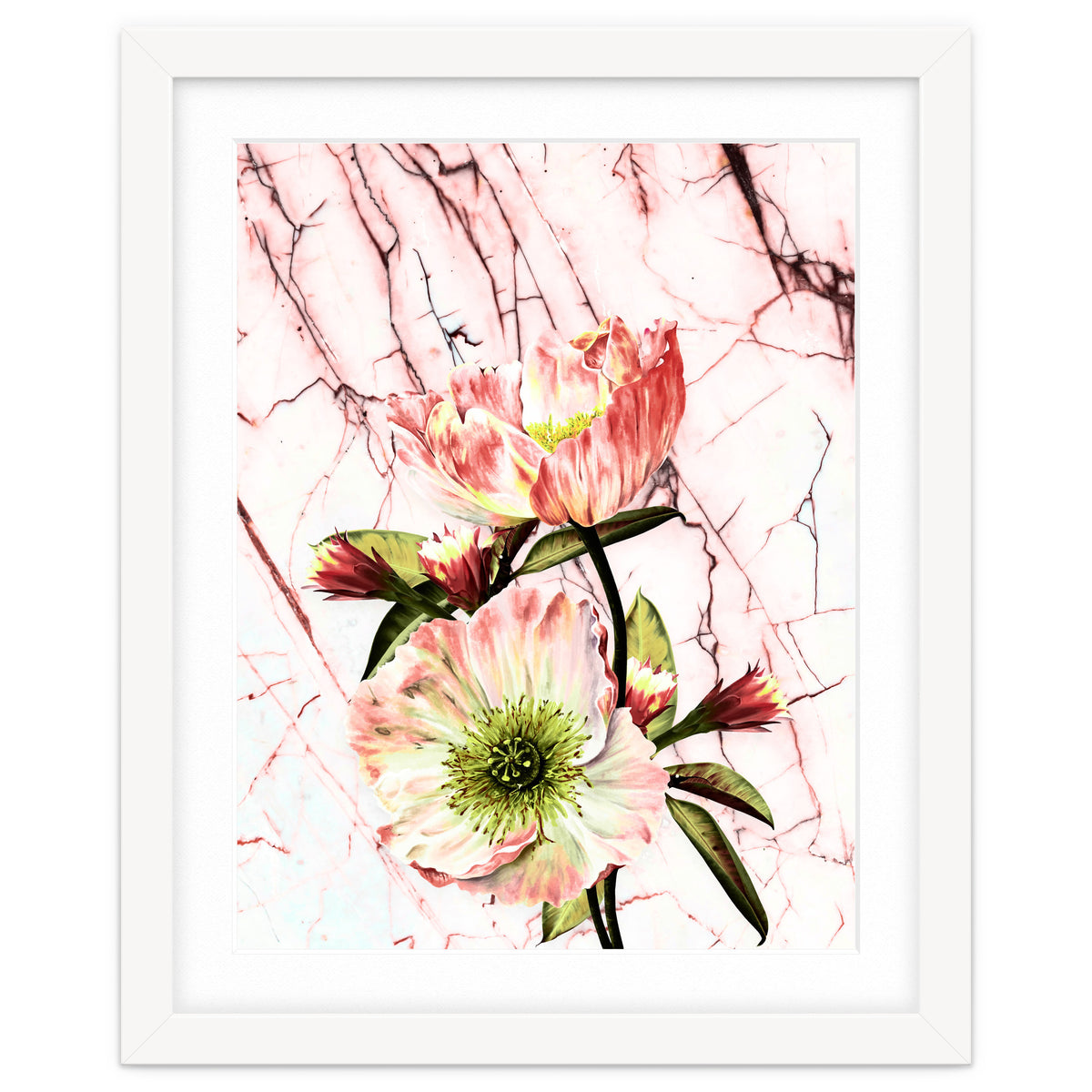 Flowering on pink marble