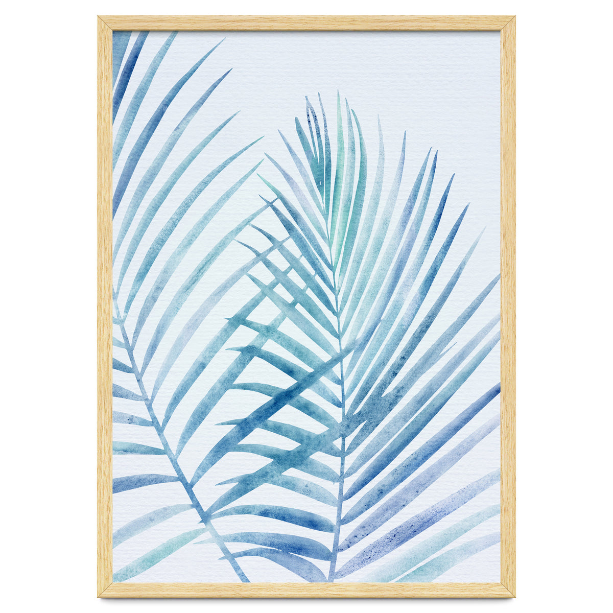 Coastal Palm Fronds