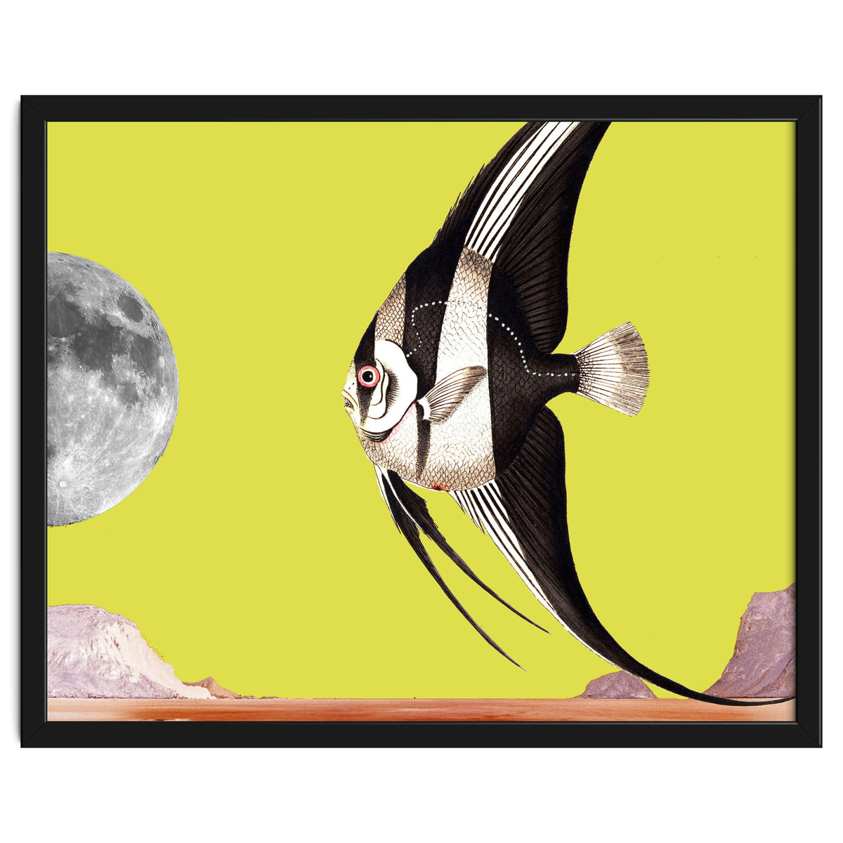 Plenty of fish in the sea yellow