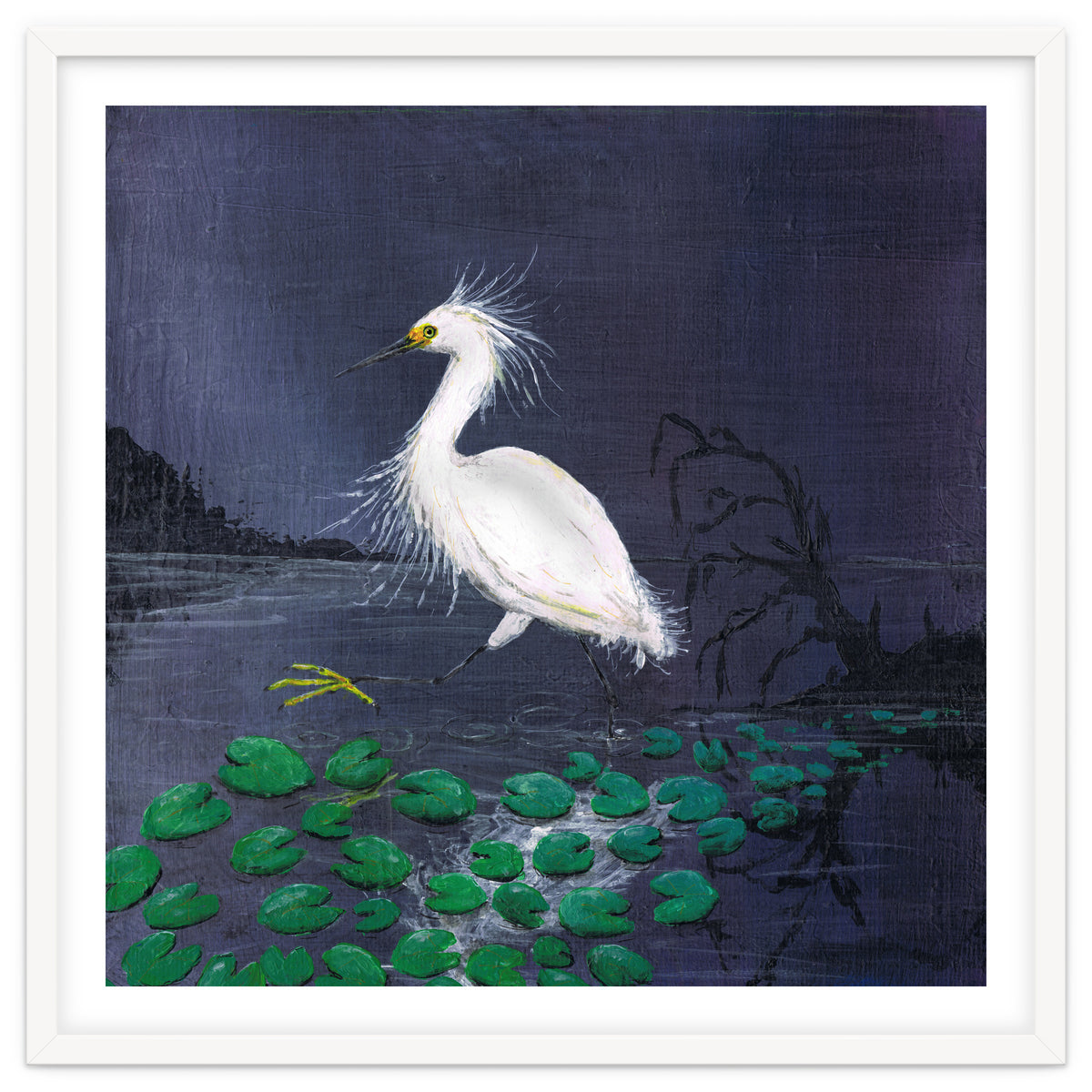 Twilight egret