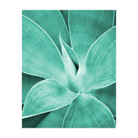 Agave (Print Only)