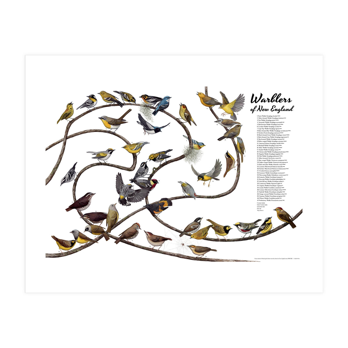 Warblers of New England (Print Only)