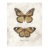 Butterflies VII (Print Only)