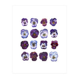 A Watercolour Study Of Violas (Print Only) thumbnail
