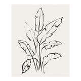 Banana Leafs Drawing (Print Only) thumbnail