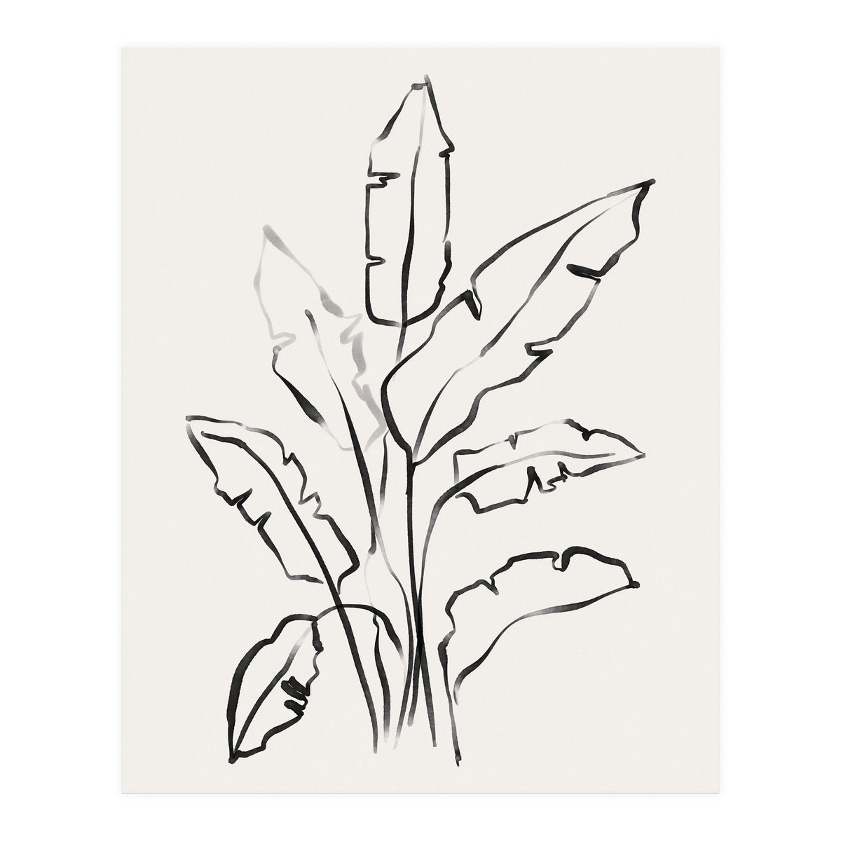 Banana Leafs Drawing (Print Only)