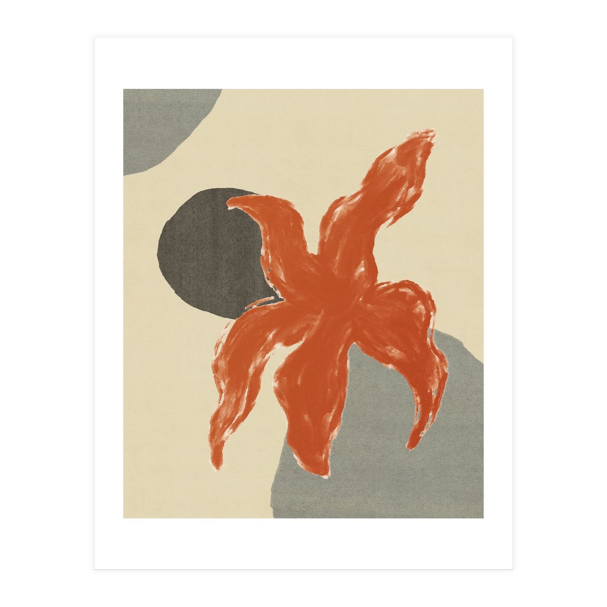 Wobbly Sea Star On Rocks \\ Abstract Composition (Print Only)