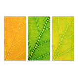 Autumn Leaves (Print Only) thumbnail