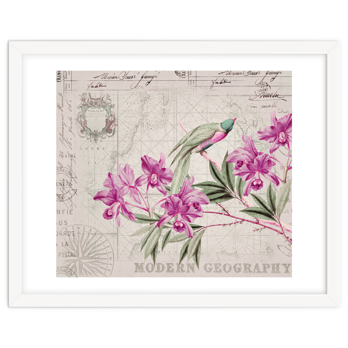 The Birds Voyage Of Discovery