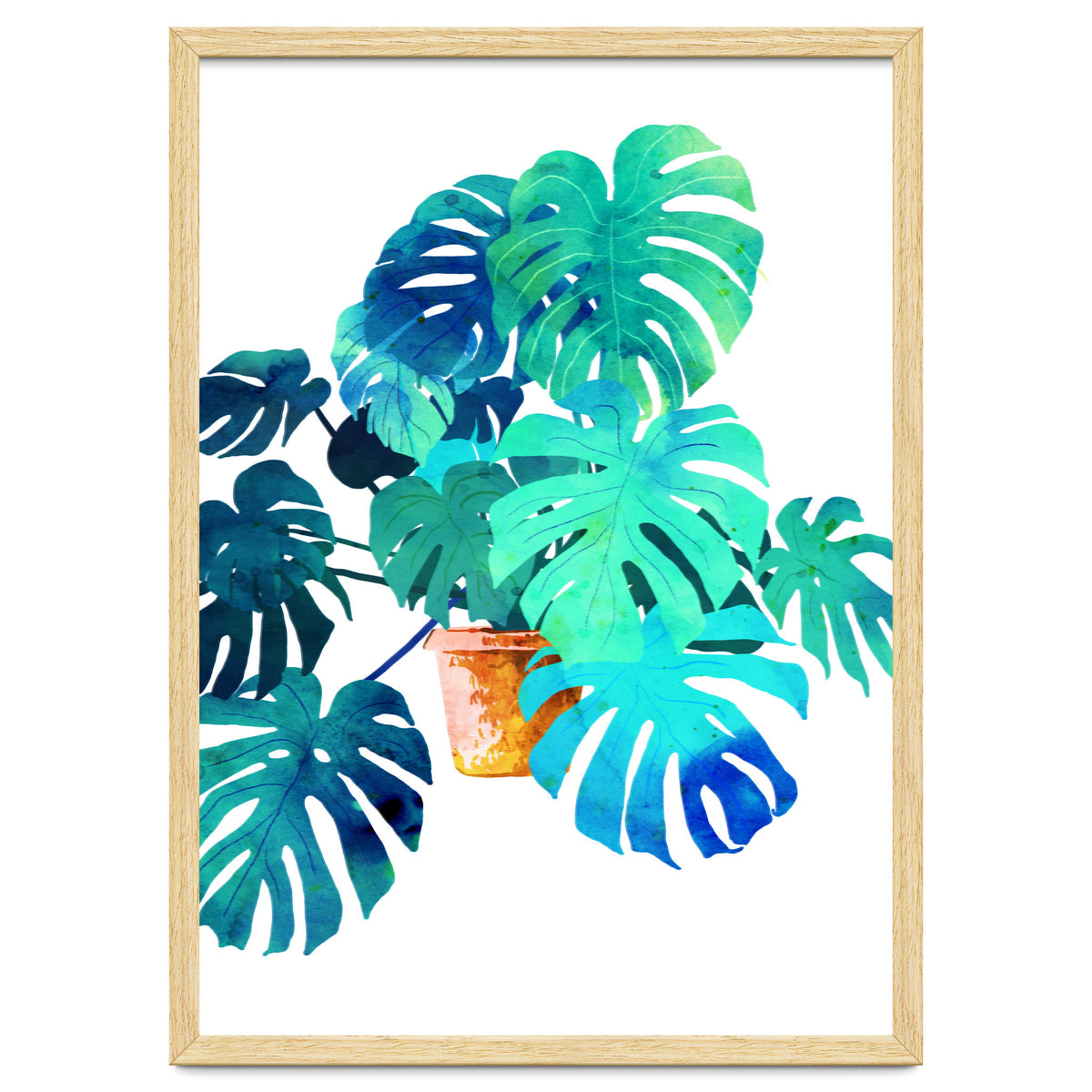 Monstera V2