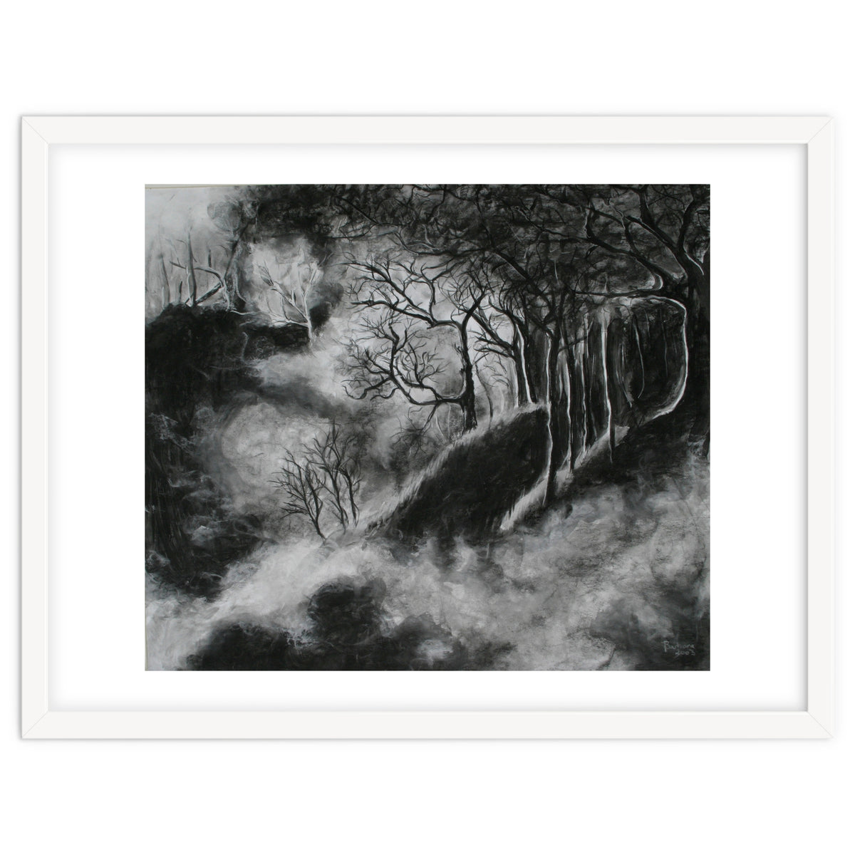 Black and White Forest in Clouds