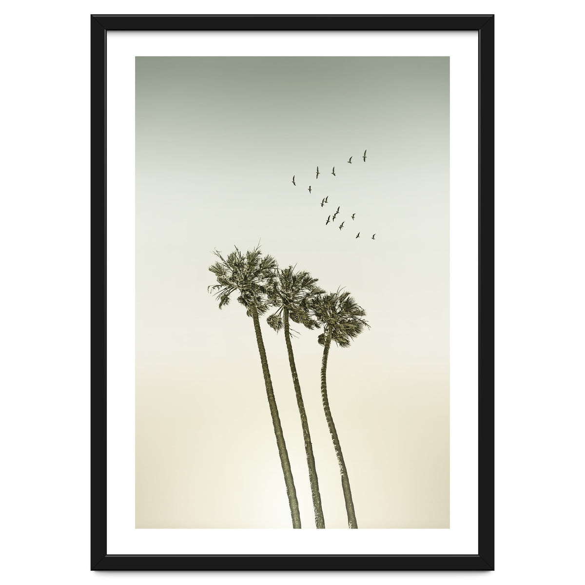 Vintage palm trees at sunset