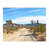 Joshua Tree II (Print Only) thumbnail