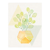 Geometry and House Plant (Print Only) thumbnail