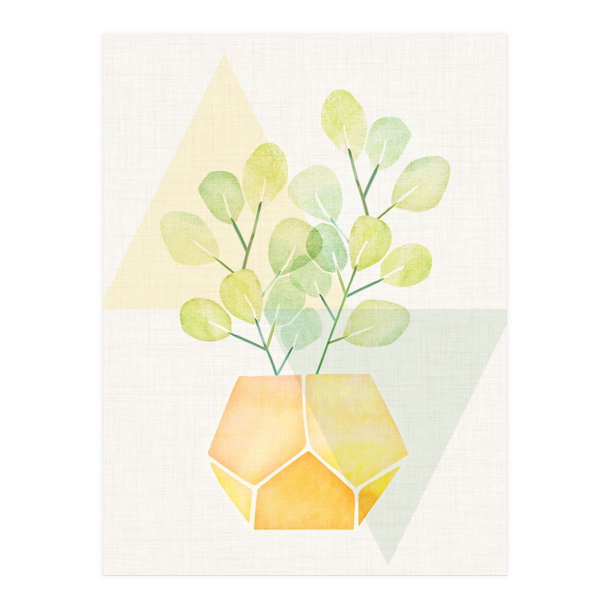 Geometry and House Plant (Print Only)