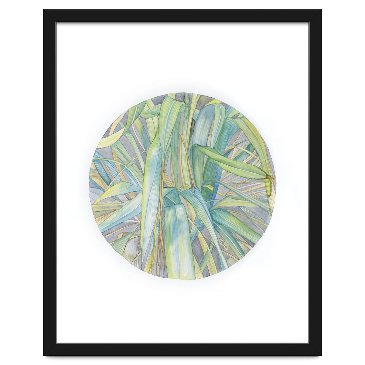 Grasses In The Late Summer Light