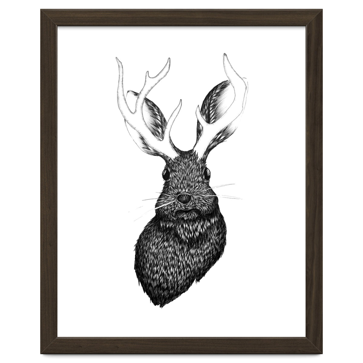 Jackalope