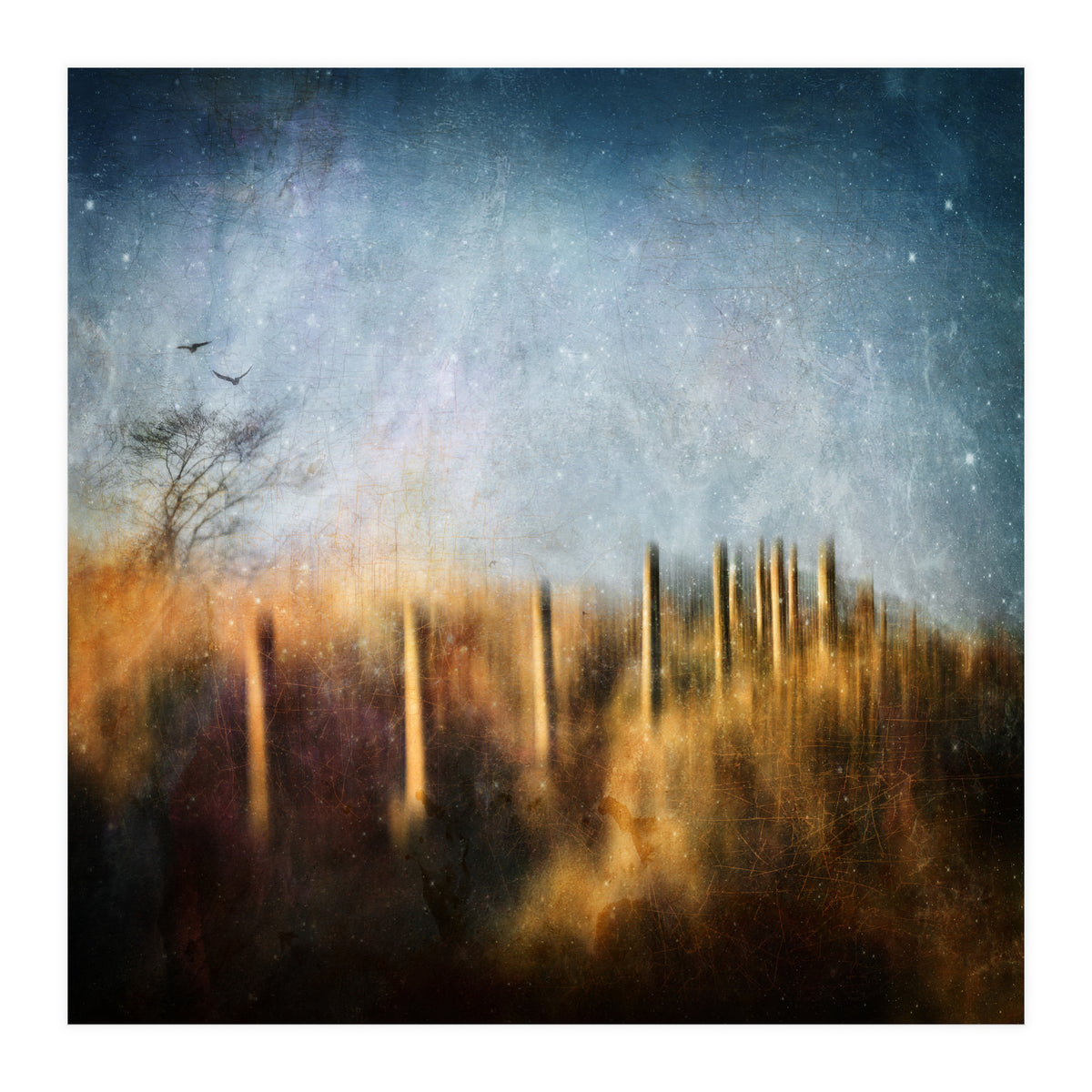 Those Beating Wings (Print Only)