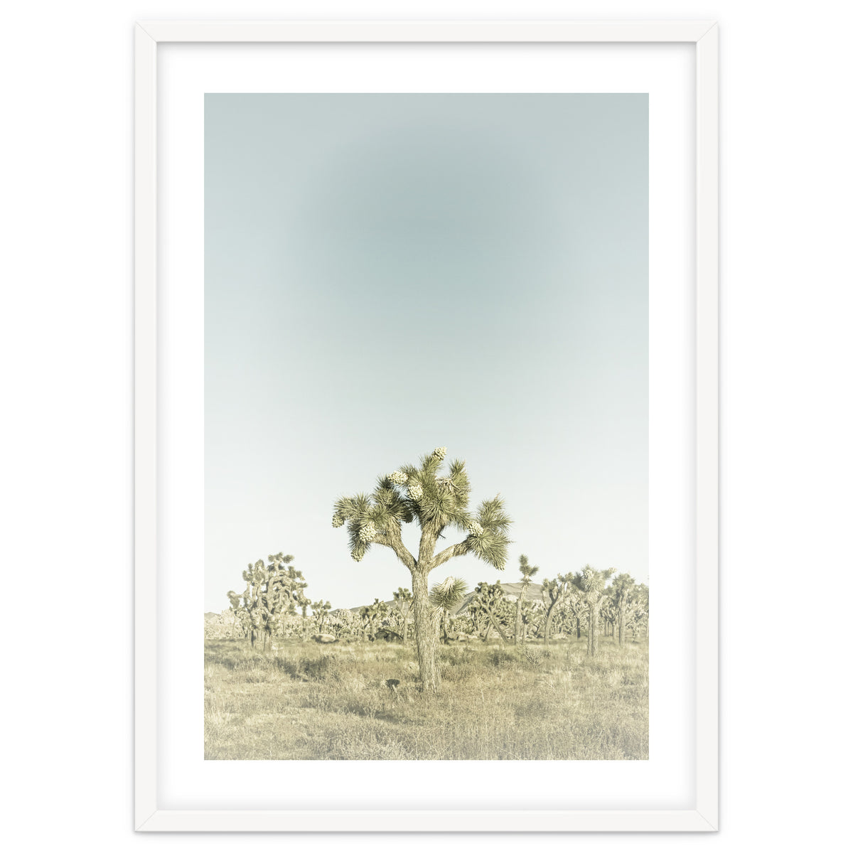 Vintage Joshua Tree