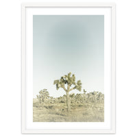 Vintage Joshua Tree